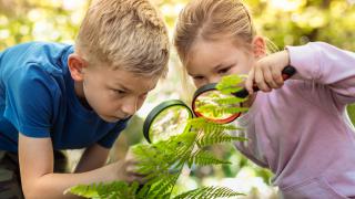 Warsztaty przyrodnicze